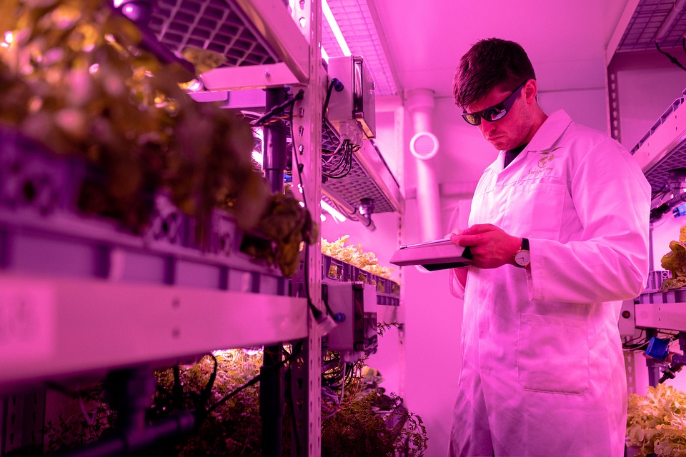 Reasons for the importance of agriculture